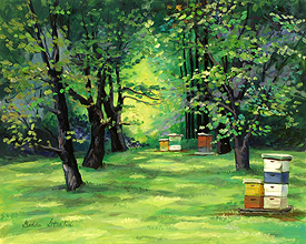 Honey Farm