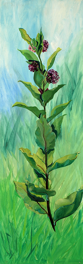 Oil painting of a milkweed plant with purple flowers in bloom by Gedda Starlin.